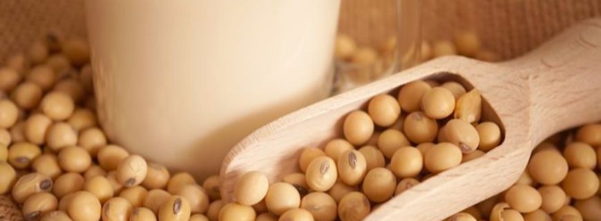 Isoflavonas em Alimentos a Base de Soja e seus Benefícios